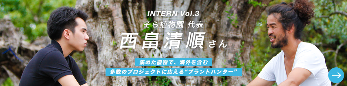 intern_vol3